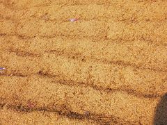 -动邦皮划艇·桨板·独木舟·团建户外运动俱乐部