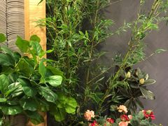-唐沫茶兮(仓山万达金街店)