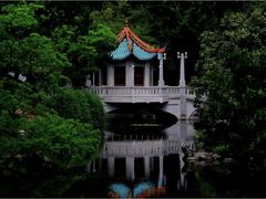 -叶家花园