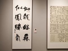 -四川美术馆