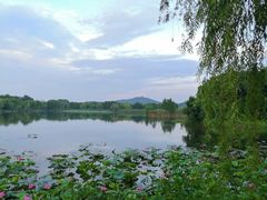 -上海市保健医疗中心