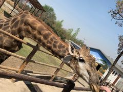 -西安秦岭野生动物园