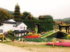-苏州上方山国家森林公园