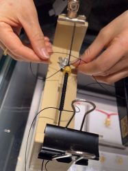 -周大福CHOW TAI FOOK(宝山苏宁易购店)