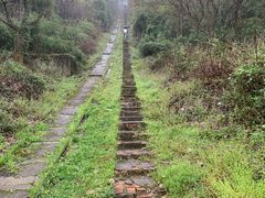 -苏州上方山国家森林公园