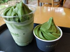 -雪绿茶博物馆
