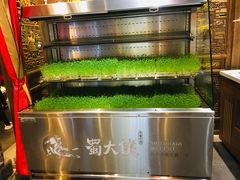 -蜀大侠火锅(四川北路店)