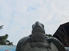 -广东惠东海龟国家级自然保护区