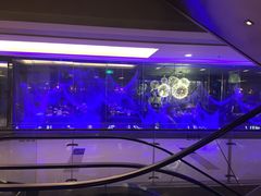 -王家渡火锅(金宝汇店)