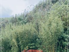 -世界洞漂之王老虎谷漂流