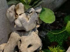 -丽池宫韩式汗蒸会馆(华灯坊店)