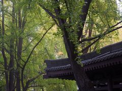 -大慈恩寺(大雁塔)
