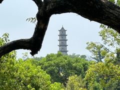 -江心屿景区