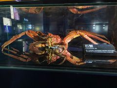 -同济大学四平路校区深海探索馆