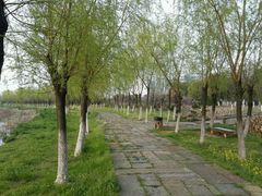 android_upload_pic-艾溪湖湿地公园