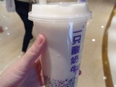 -一只酸奶牛(时代天街A馆店)