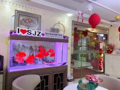 -安院长·产后恢复·徒手骨盆(先天下店)