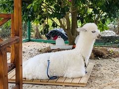 景观位-南宁荔园维景国际酒店·荔园中餐厅