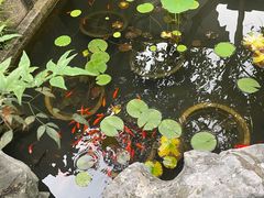 -苏州吴宫泛太平洋酒店