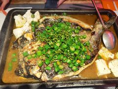 -探鱼·鲜青椒爽麻烤鱼(广州花都来又来店)