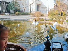 -广富林宰相府酒店·水云间