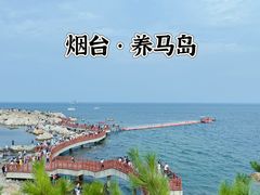 -养马岛旅游度假区