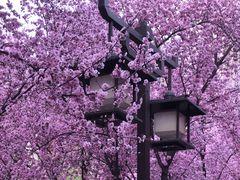 -木塔寺遗址生态公园