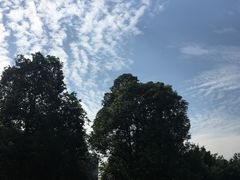 -四川大学(华西校区)