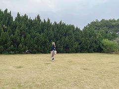-南沙蒲洲花园