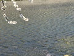 -桃花堤公园