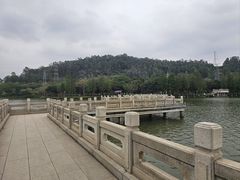 -顺峰山公园