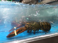-盒马鲜生(领丰汇店)