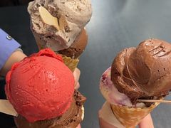 -Patagonia Chocolates(皇后镇店)