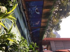 蓝蛙(水游城店)-bluefrog蓝蛙(水游城店)