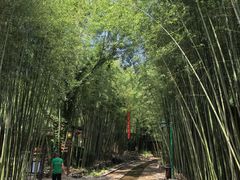 -竹泉村旅游度假区