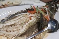 -青岛金沙滩希尔顿酒店·宴会厅