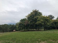 -福建鲤鱼洲酒店