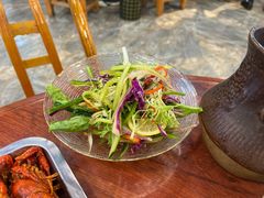 草原大拌菜-草本味·市井羊肉馆(新开铺总店)