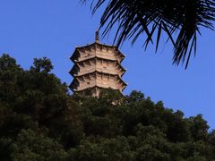 -深圳国际园林花卉博览园