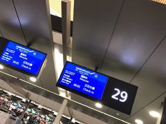 -谢列梅捷沃国际机场