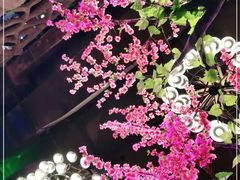 -江湖渔道(万泰汇店)