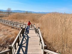 -野鸭湖国家湿地公园