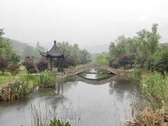 -石塘人家