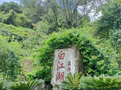 -广州白江湖森林公园