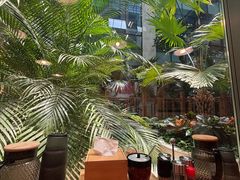 -日出拉面(望京店)