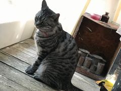 景观位-小时光咖啡馆(北锣鼓巷店)