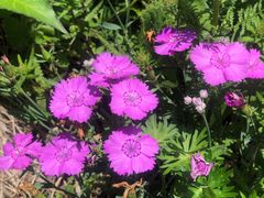 -白草畔自然风景区