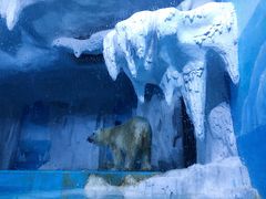 -多彩贵州城极地海洋世界