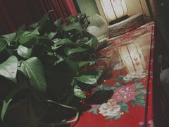 -蘑菇私房菜小馆(杨家坪西城天街店)