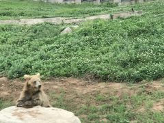 -西安秦岭野生动物园